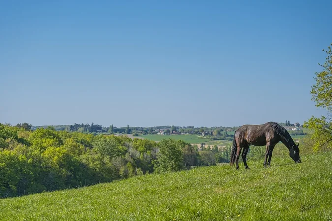 Ranch du Bel Air
