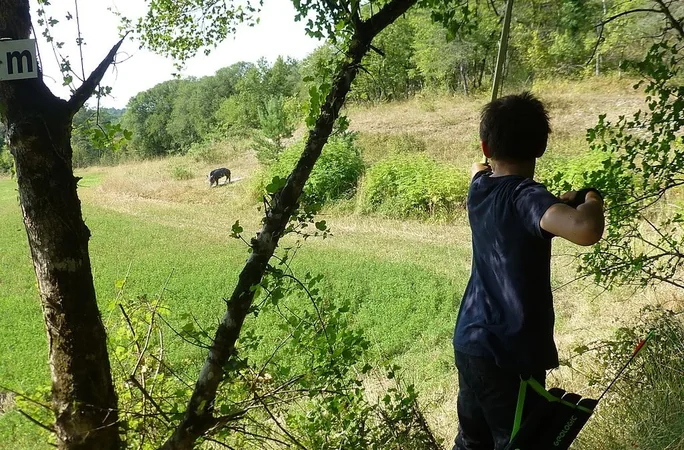 Le Bel Oiseau Tir à l'Arc sur cible 3D