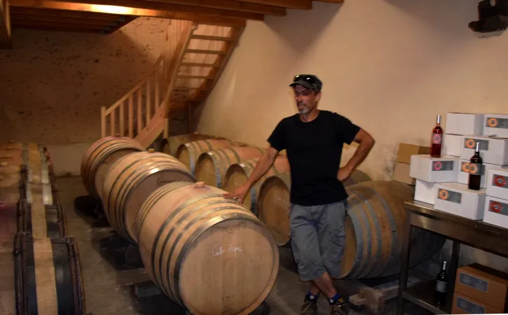 Vin - Domaine du Bout du Monde