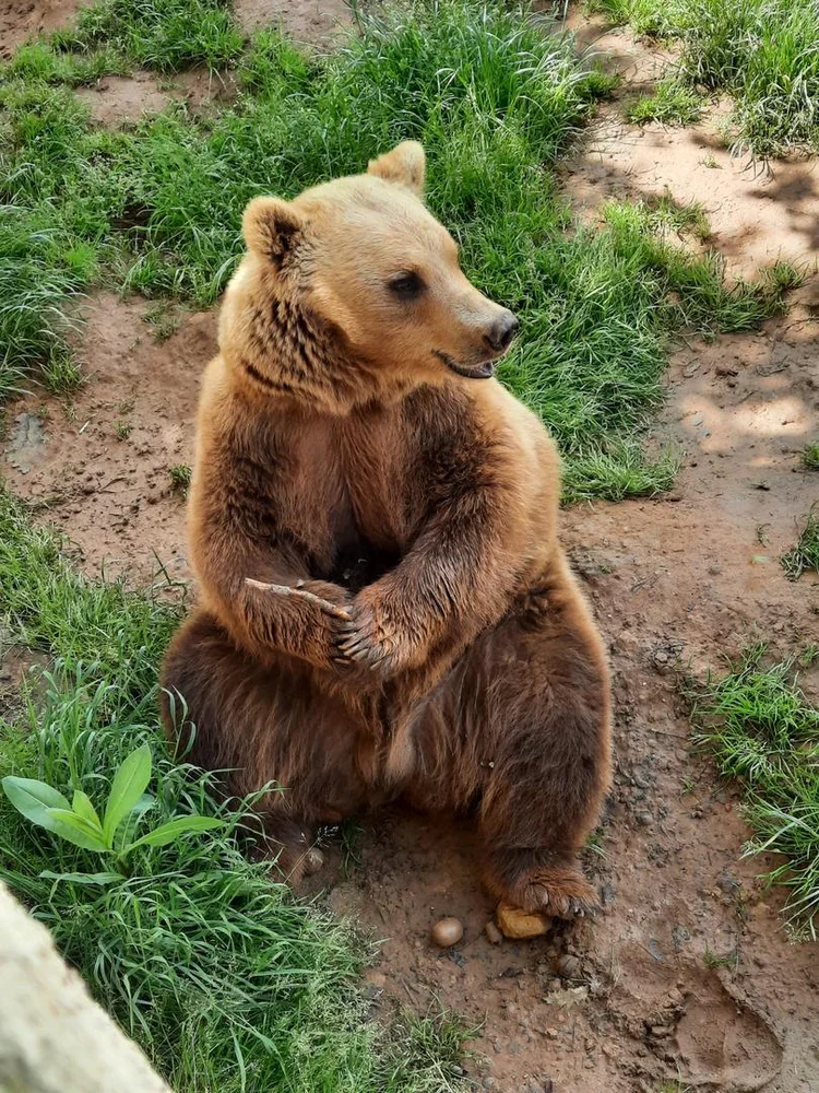 Site Néandertal de Regourdou