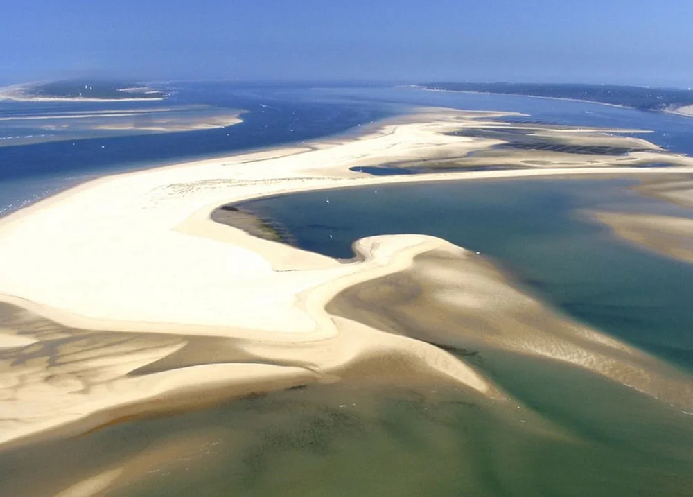 La réserve naturelle du Banc d'Arguin