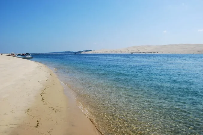 La réserve naturelle du Banc d'Arguin