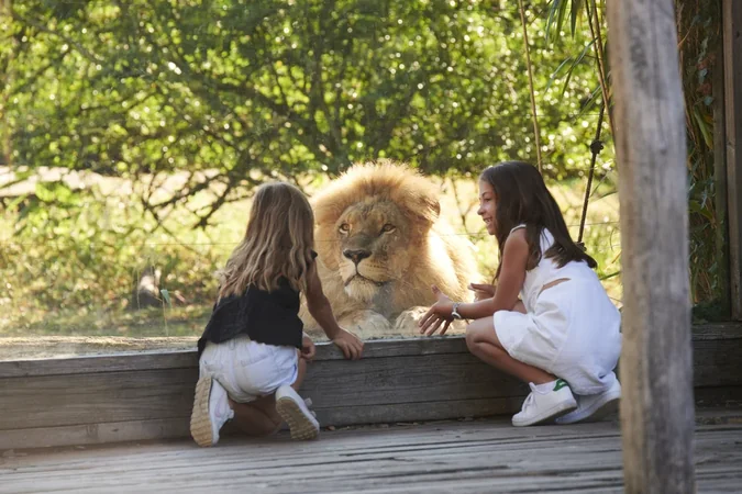 Zoo de Bordeaux-Pessac