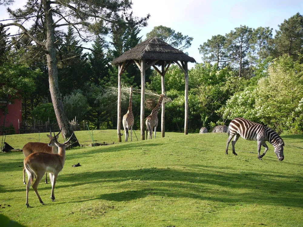 Zoo de Bordeaux-Pessac