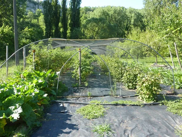 Les Confitures d'Agnès