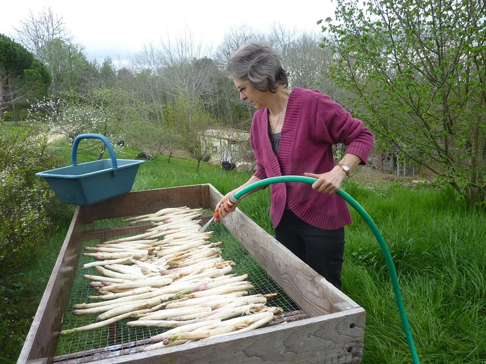 Les Confitures d'Agnès