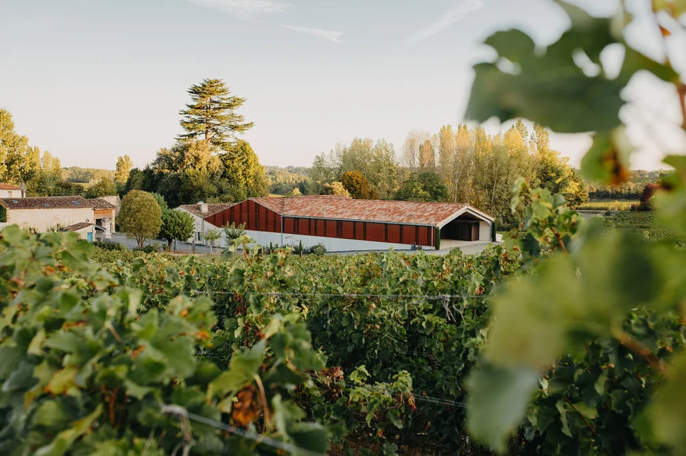 Château Rol Valentin : soirée sous les étoiles et récits des constellations