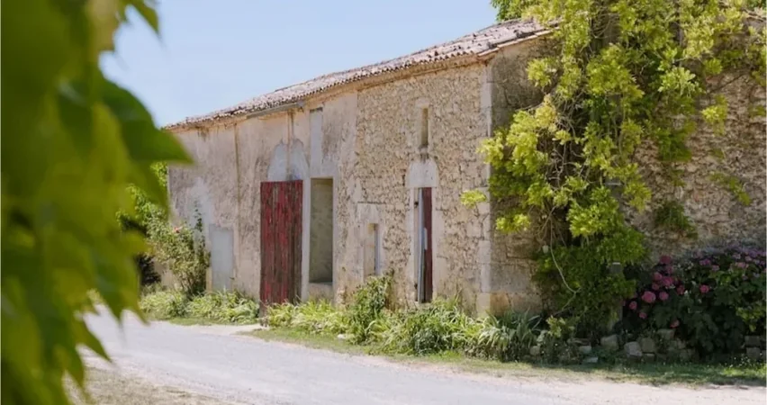 Château Moulin de Peyronin