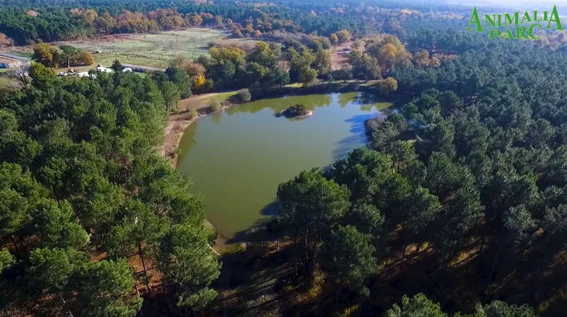 Animalia Parc - La Ferme