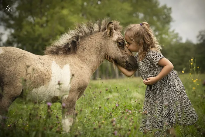 Poney Club Domaine d'Aure