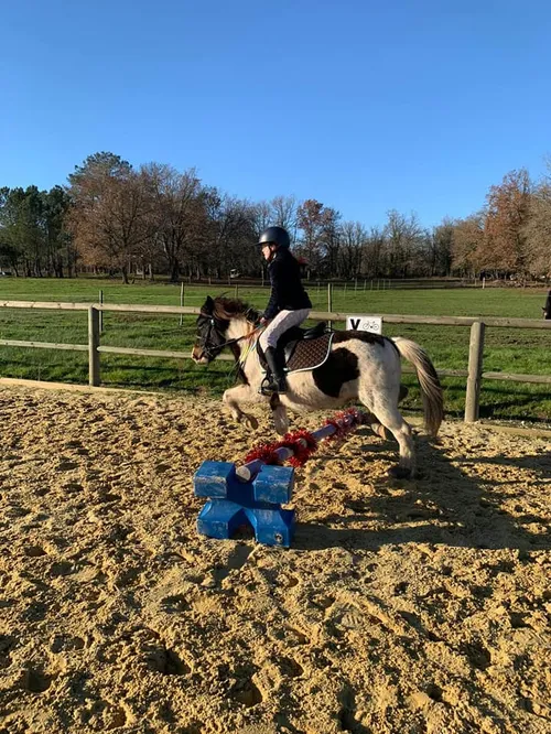 Poney Club Domaine d'Aure