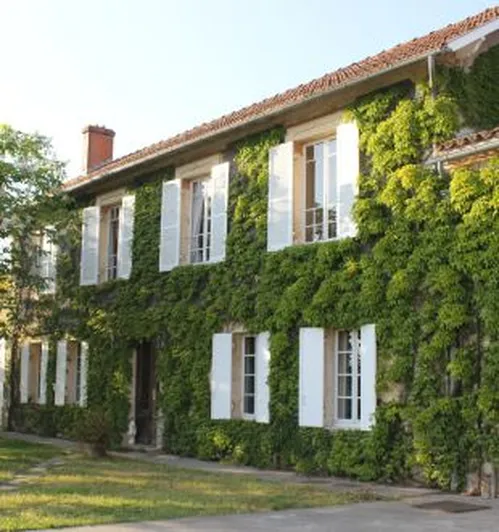 Château Mauvinon