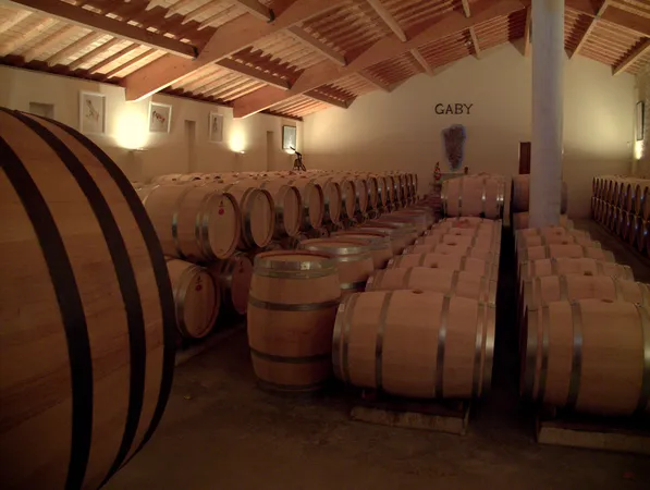 Château Gaby