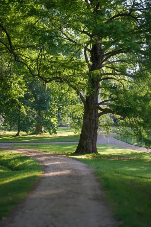 Parc du Château Siaurac