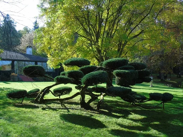 Les Jardins Tranquilles