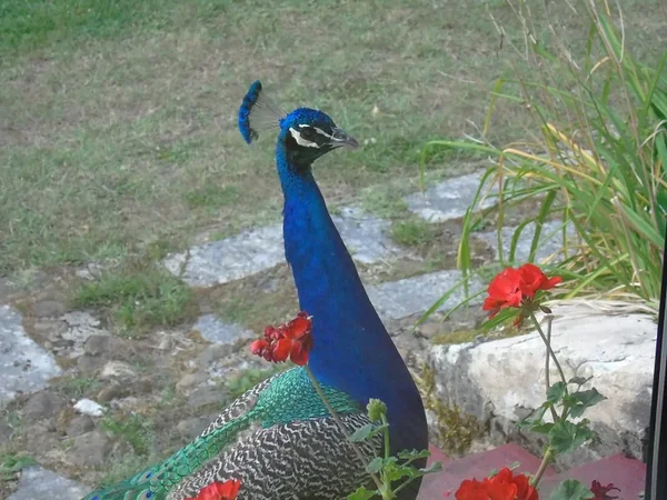 Les Jardins Tranquilles
