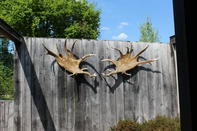 Grotte de Pair-non-Pair