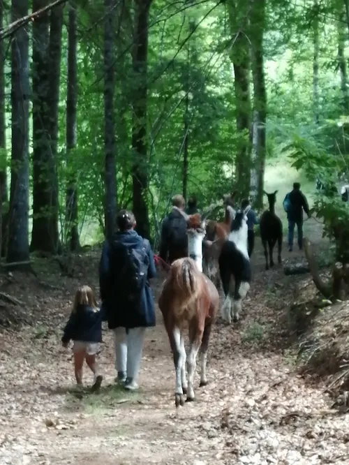 Ferme de Lama'ziere