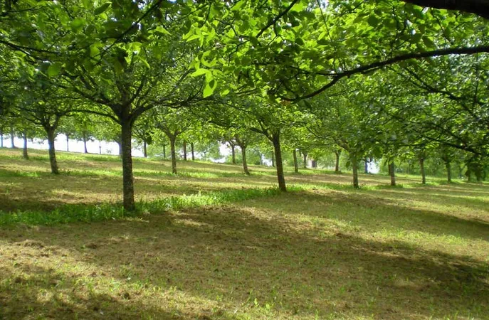 Les Vergers de la Guillou