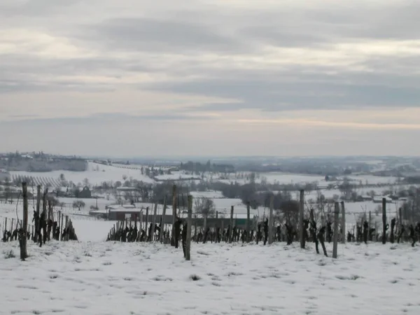 Château Faurie