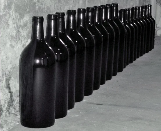 Château Bardins