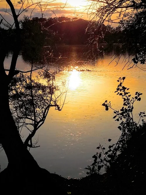 Parc Naturel de Passeligne