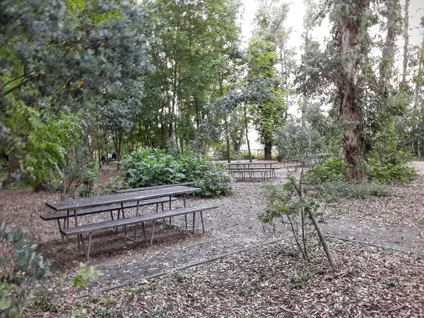 Parc Naturel de Passeligne