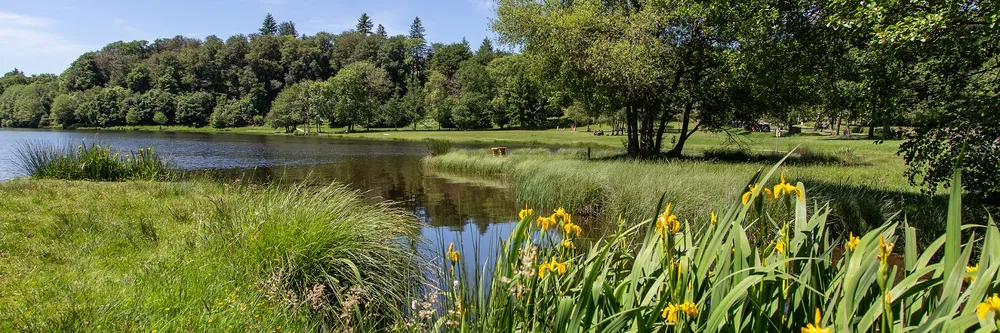 Lac de Séchemailles