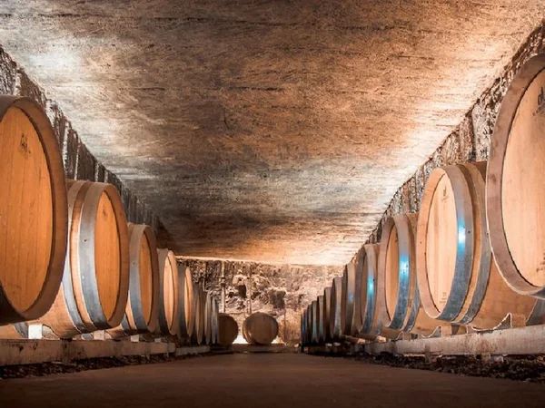 Château Langoiran - Vignobles Gonfrier