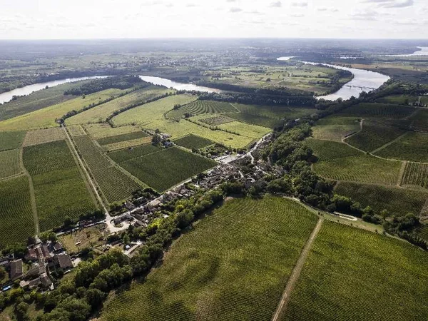 Château Langoiran - Vignobles Gonfrier