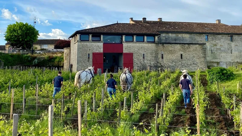 Château Cardinal Villemaurine
