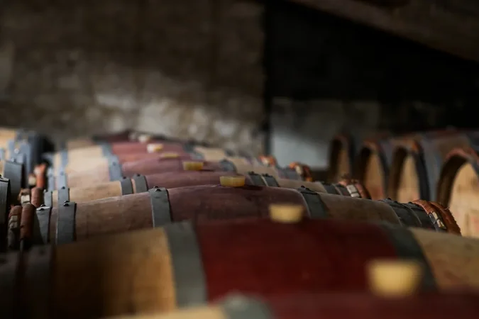 Château Castagnac