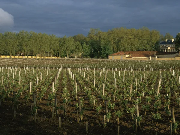 Château Margaux