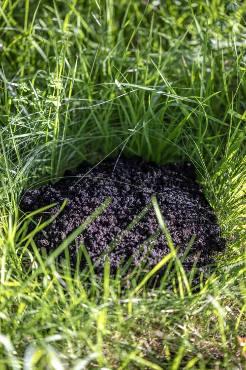 Site Naturel des Tourbières de Vendoire