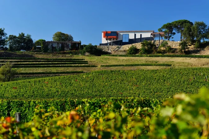 Château La Croizille