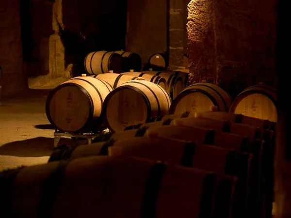 Château Franc Mayne