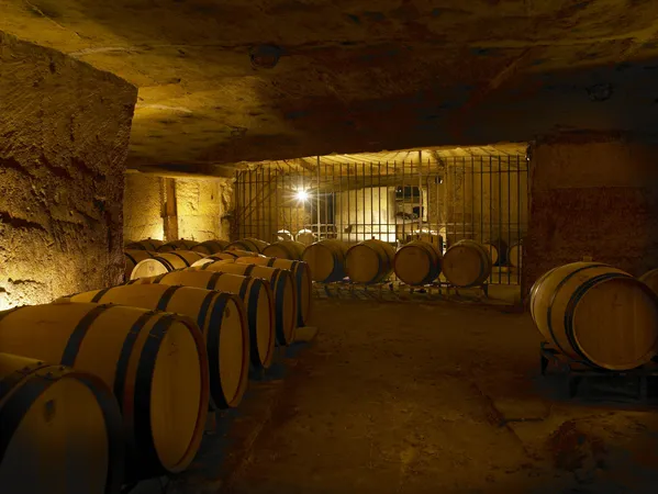 Château Franc Mayne