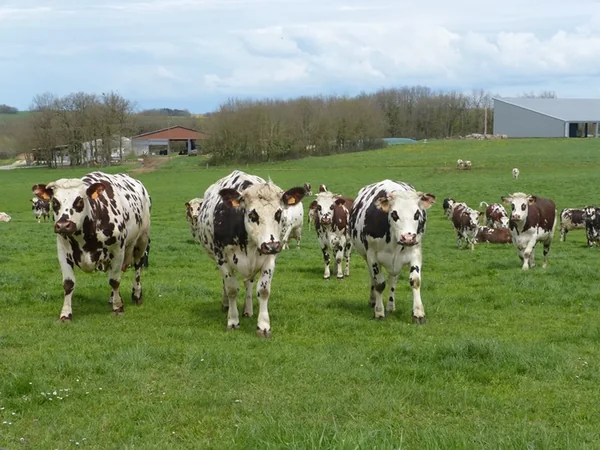 La ferme Texier-Pichot