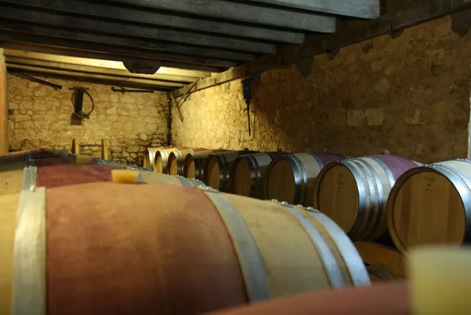 Château Frédignac