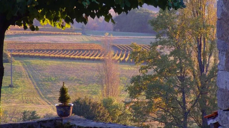 Domaine de Grimardy