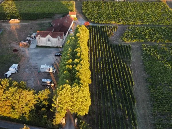 Vignoble Pestoury