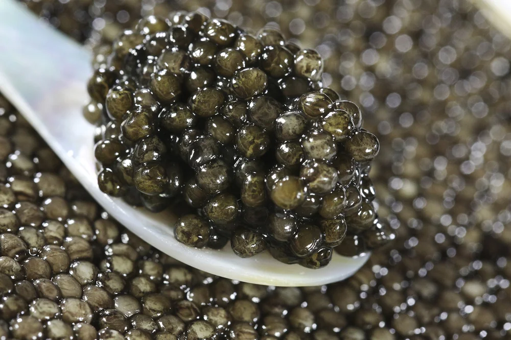 CAVIAR PERLE NOIRE