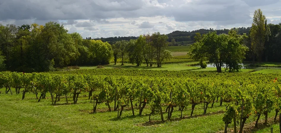 Château Haut Gaussens
