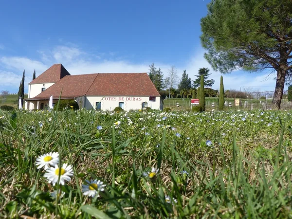Maison des Vins de Duras