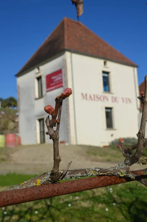 Maison des Vins de Duras