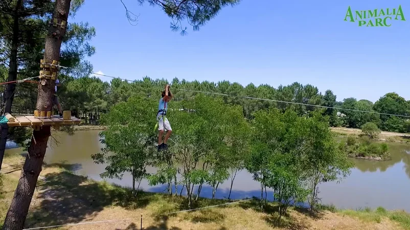 Animalia Parc - Accrobranches