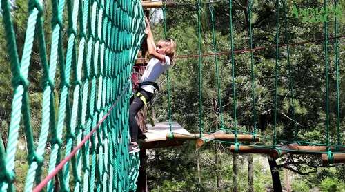 Animalia Parc - Accrobranches