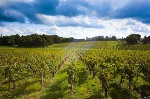 Château La Rose Sarron