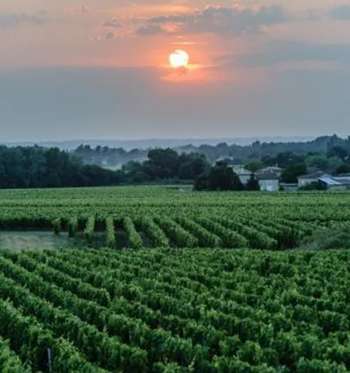 Château Roc de Calon