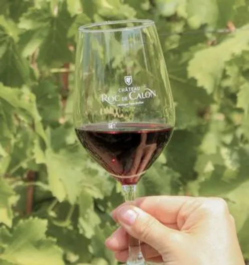 Château Roc de Calon